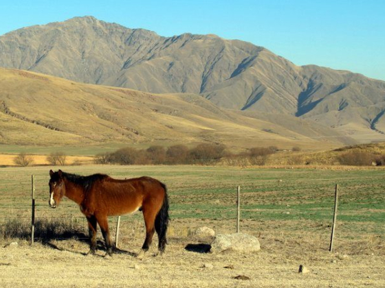 Museo de Mitos y Leyendas Casa Duende, Tafí del Valle